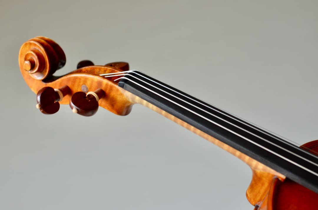 【カスタム美品】Gliga GEMS1 4/4 バイオリン セット