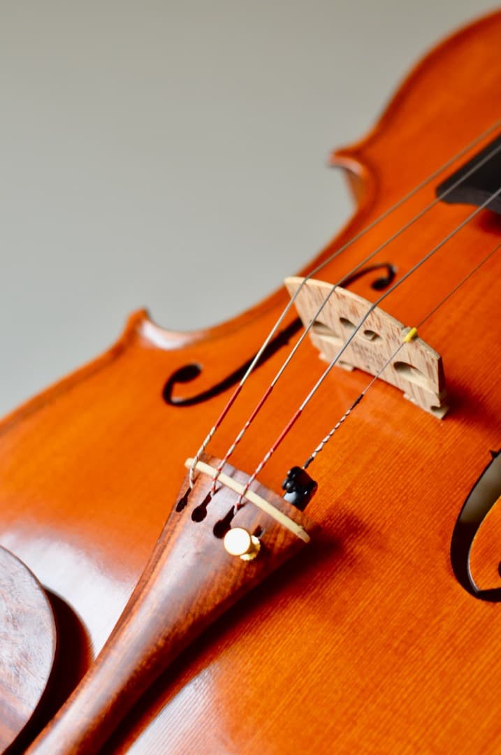 【カスタム美品】Gliga GEMS1 4/4 バイオリン セット