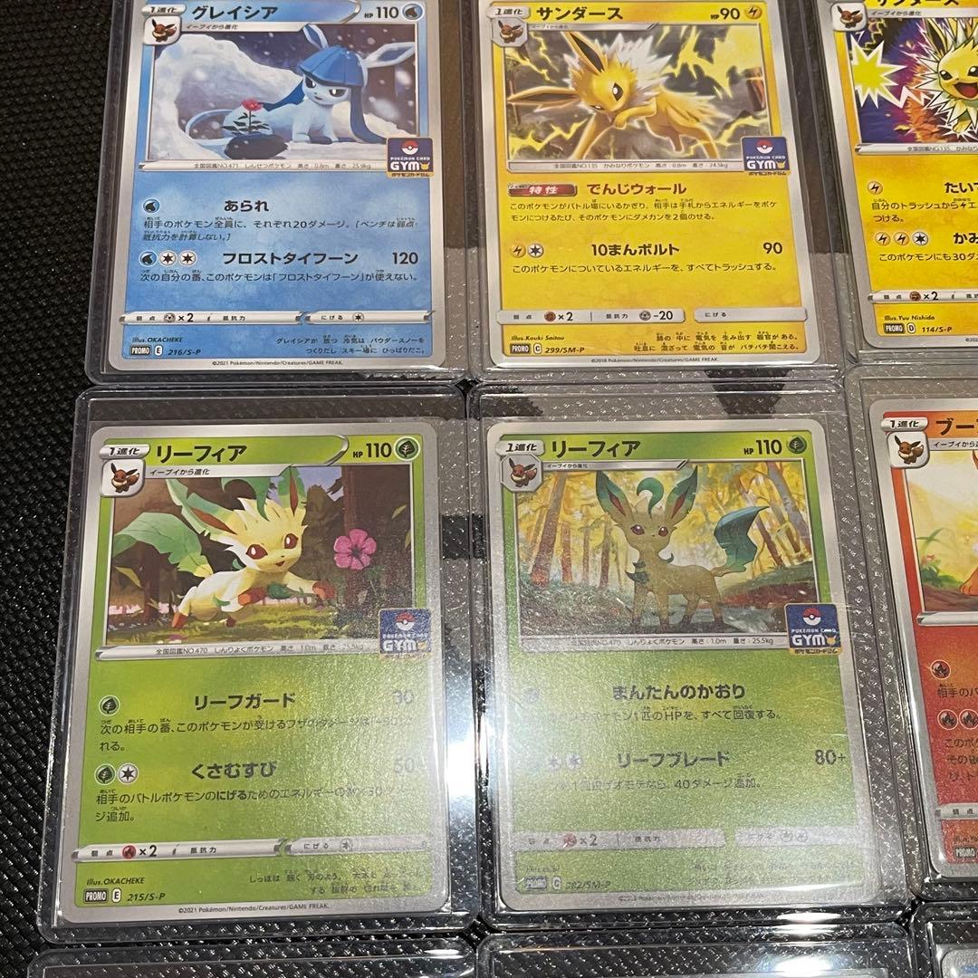 イーブイ進化ライン GYMカードプロモ 14枚セット