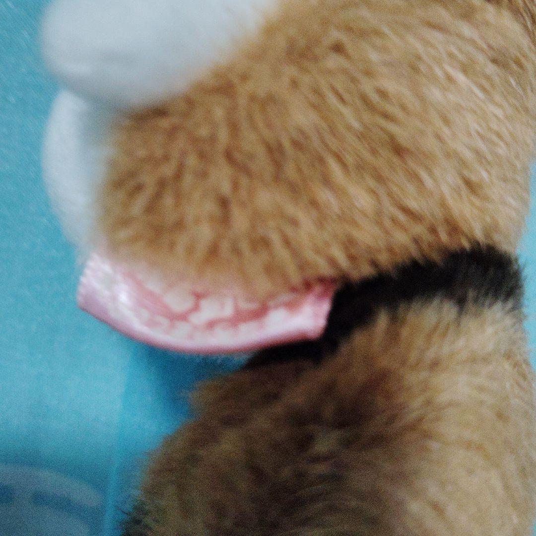 サンリオ ハローキティ しっぽ倶楽部 アライグマ マスコットホルダー