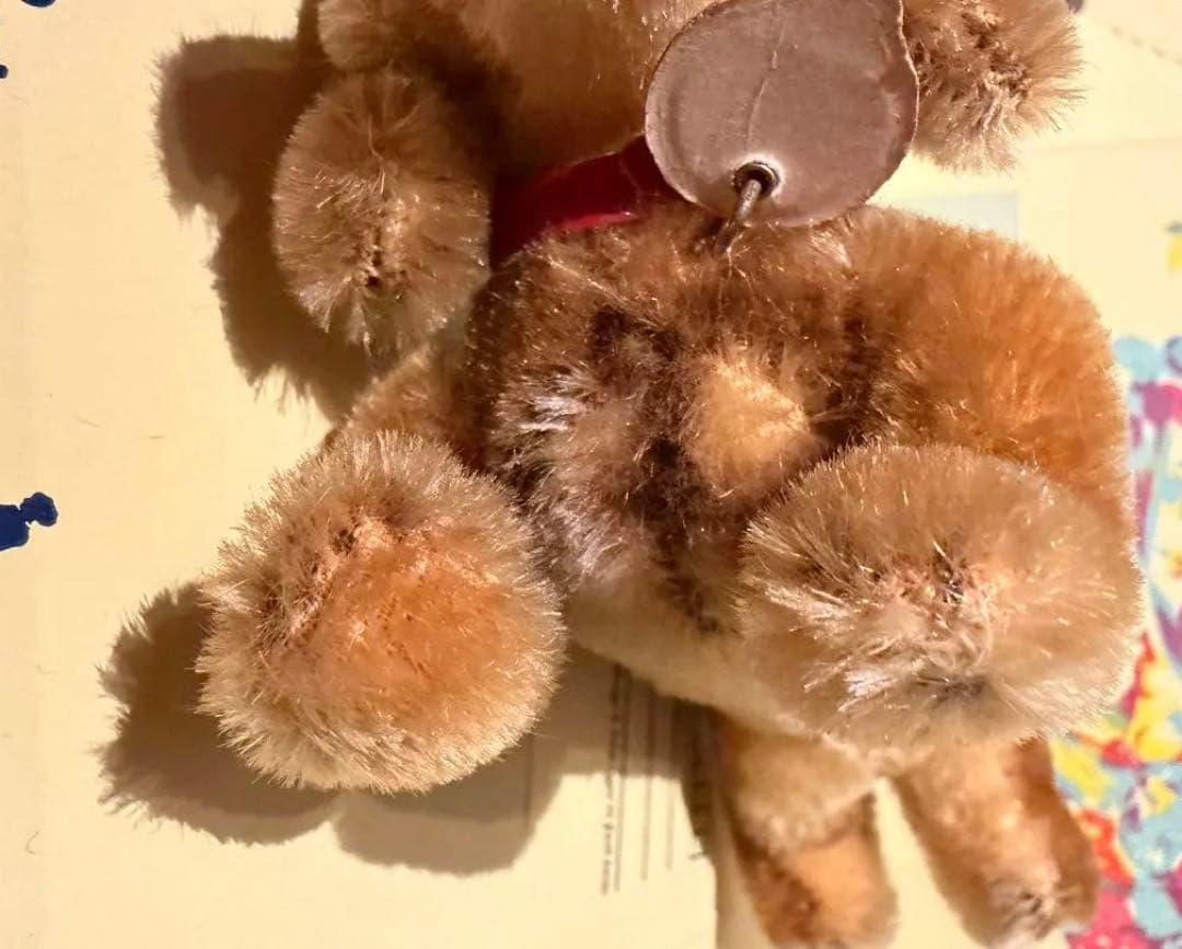 ベルリン購入 超美品シュタイフ 1950年代のダックスフンド グラスアイ