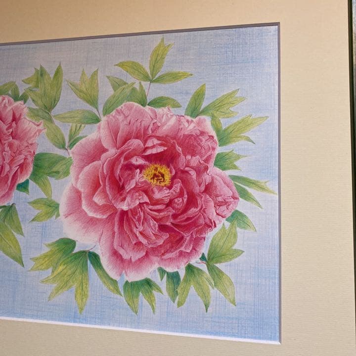 夫婦牡丹 (色鉛筆画)