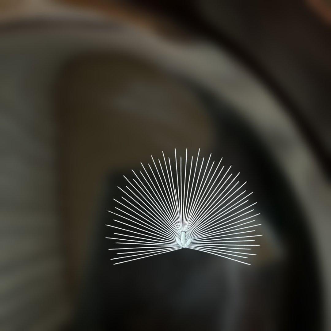 輪島塗　金色の扇模様　菓子入れ