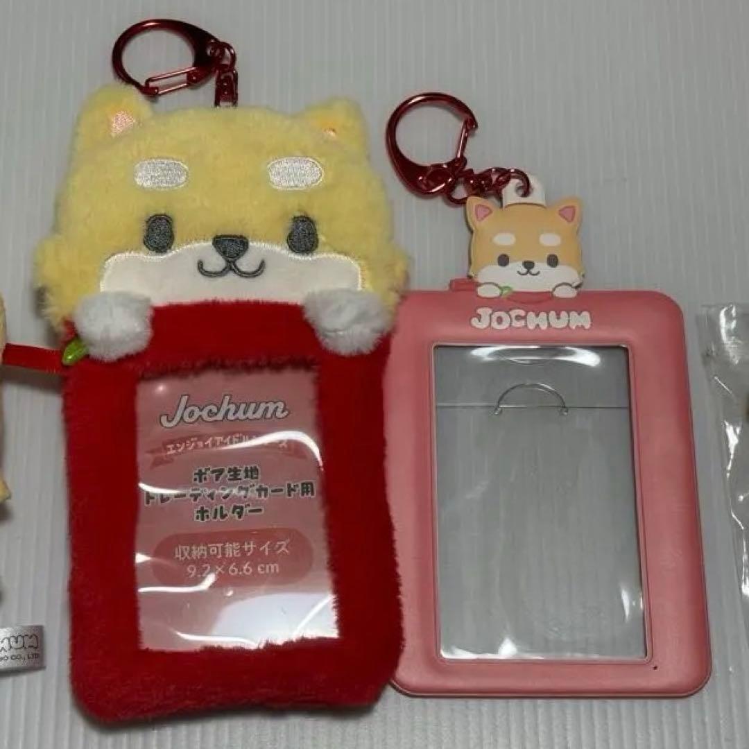 passcode 高嶋楓 KAÉDE サイン入りチェキとメッセージカード