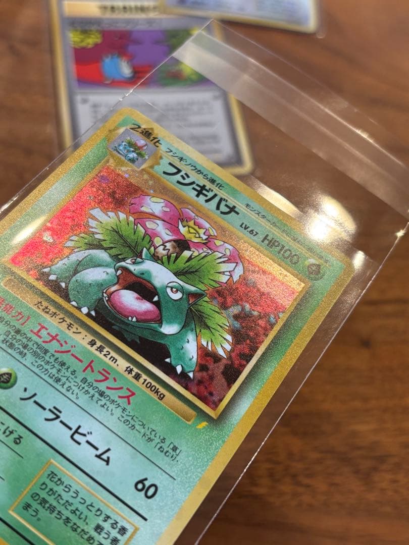 【極美品】フシギバナ_「とりかえっこプリーズ」 キャンペーンカード PROMO