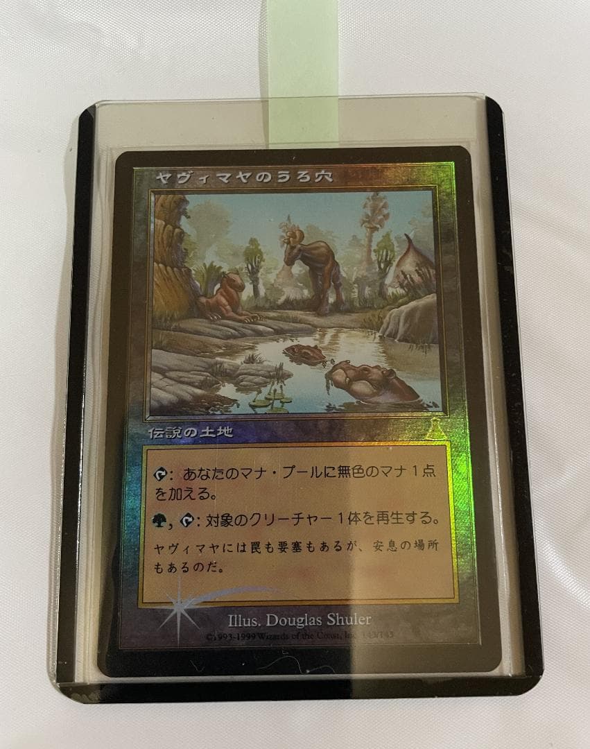 MTG ヤヴィマヤのうろ穴 Yavimaya Hollow foil