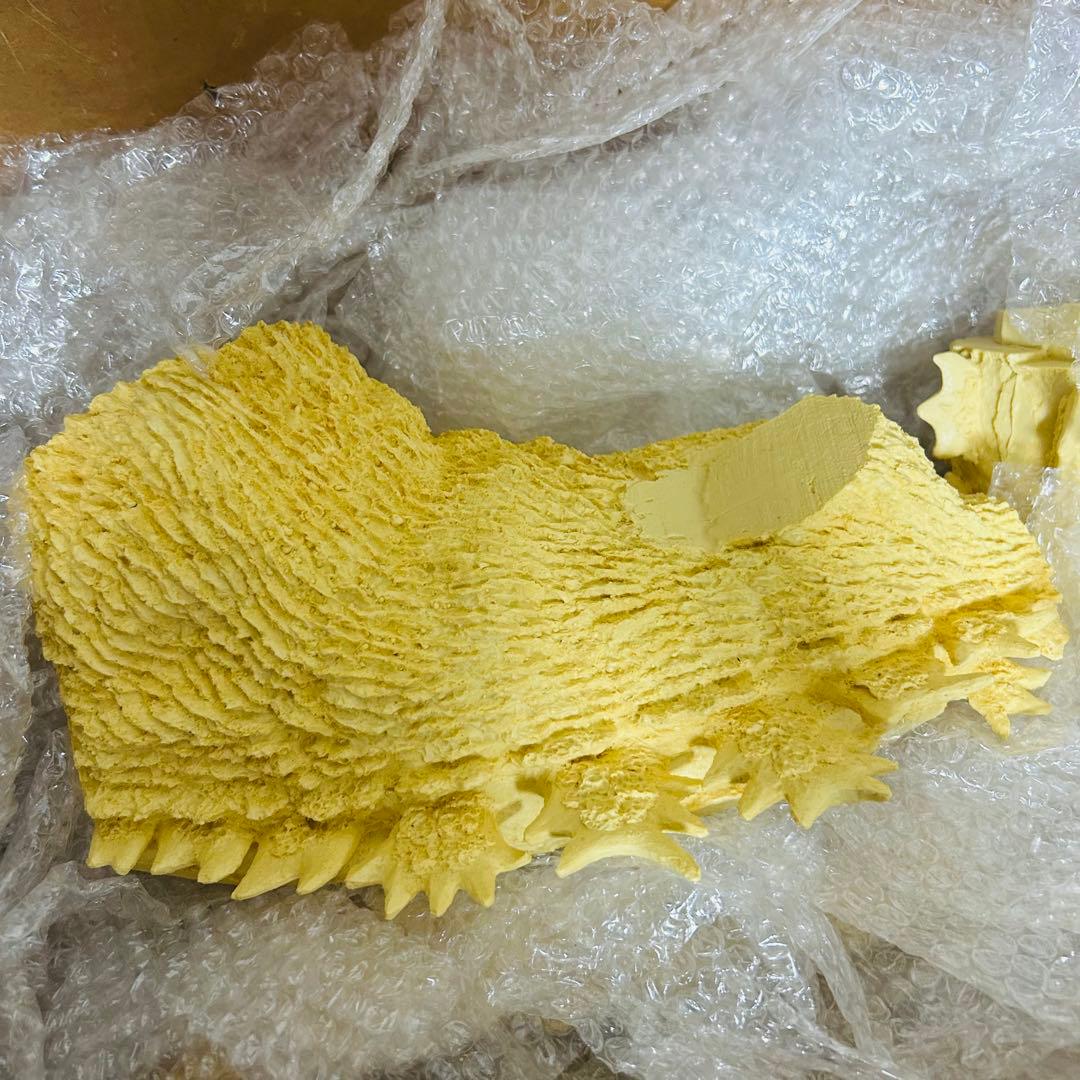 イノウエアーツ 初代ゴジラ 50cm キャスト版 水爆大怪獣東京上陸