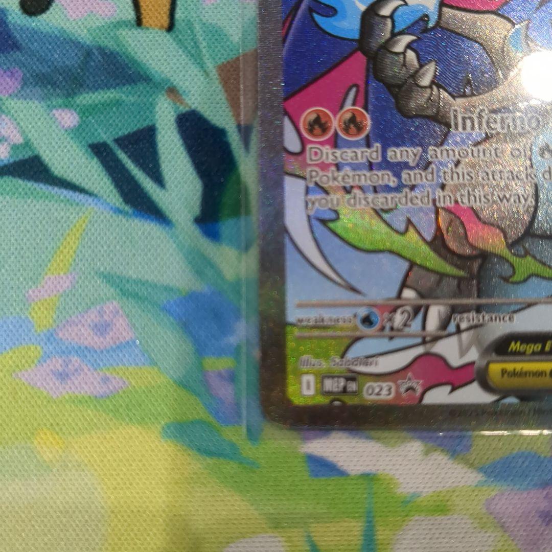 未開封 メガリザードンX ex オドリドリex プロモ 英語版 【Y5】