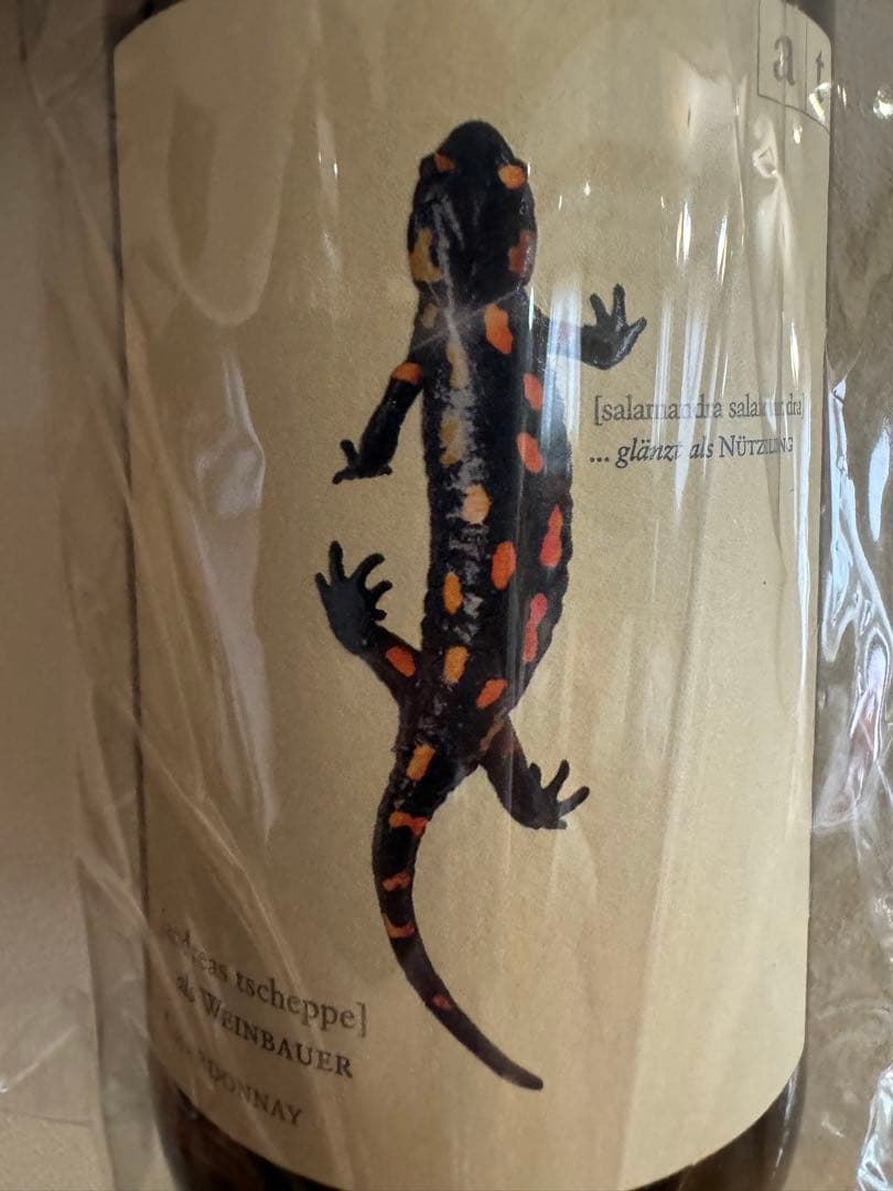 Weingut In Glanz Andreas Tscheppe Salamander Chardonnay | Vivino