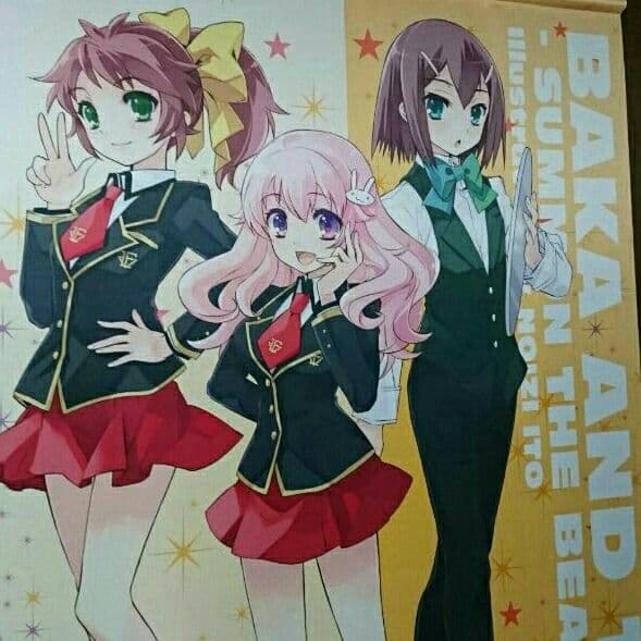 バカとテストと召喚獣 特大タペストリー バカとテストと召喚獣 特大タペストリー Amazon.co.jp: タペストリー