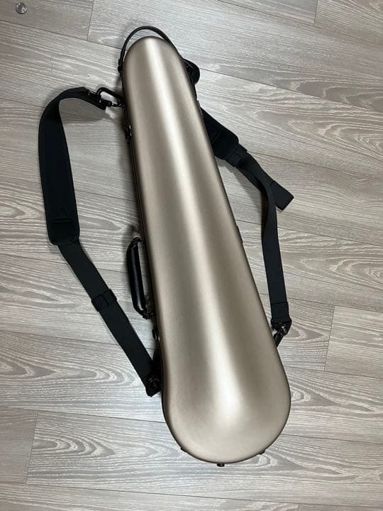 【新品同様】Gliga Gama2 4/4 弓、ケース、肩当てセット