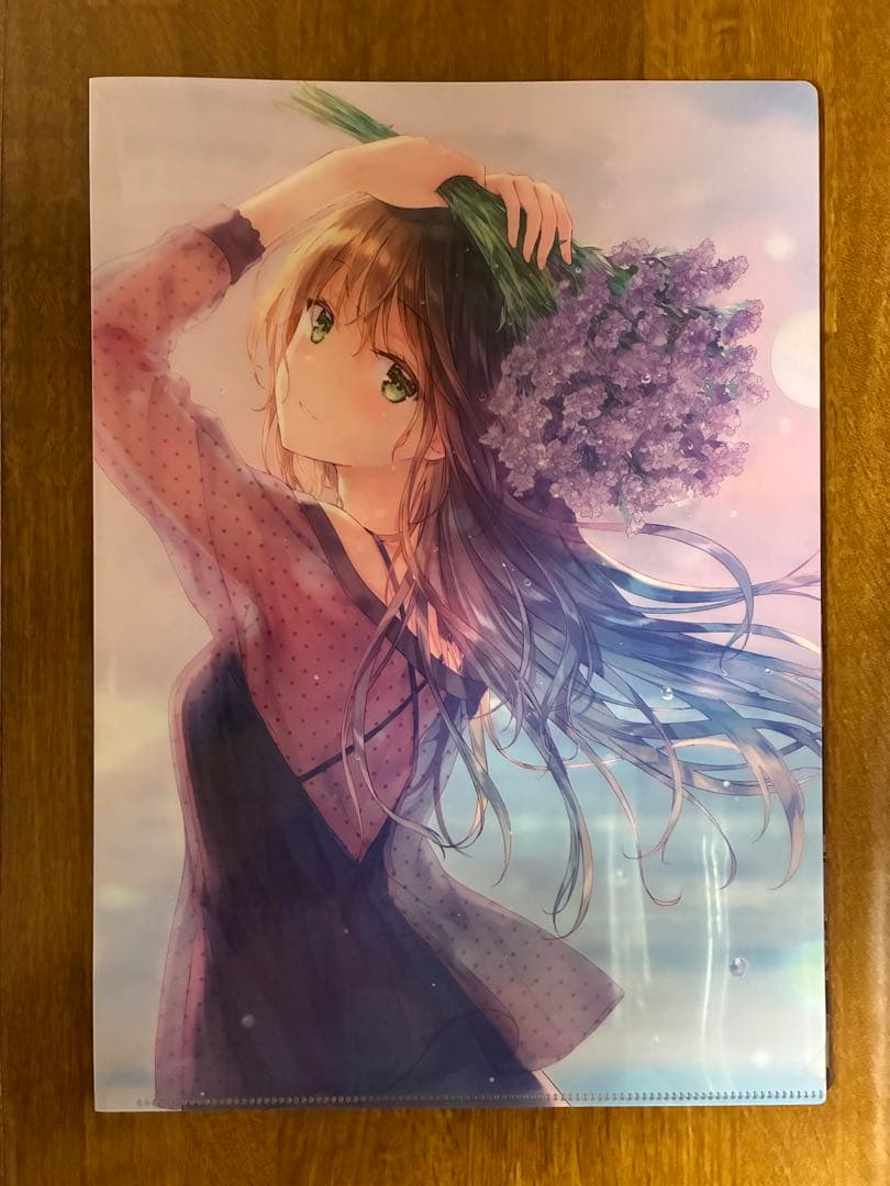 Hiten クリアファイル 11枚セット