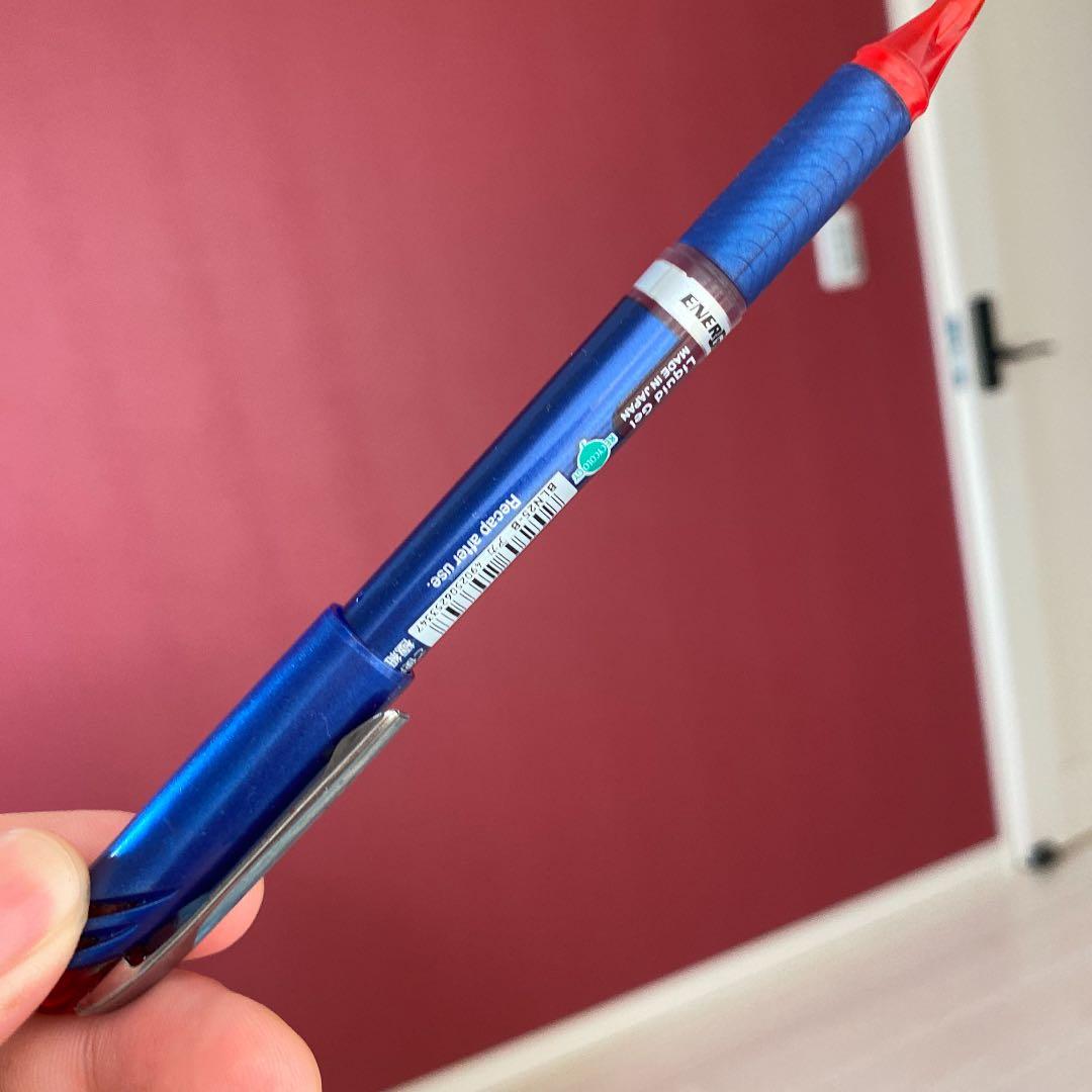 絶版品 入手困難 セーラー万年筆 レアロ 吸入式 EF ゆきのしたで 極細字