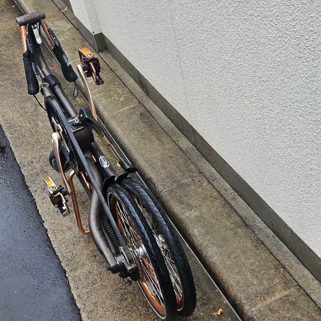 STRiDA EVO 3♪18インチ♪ストライダ ブロンズ 内装3段変速