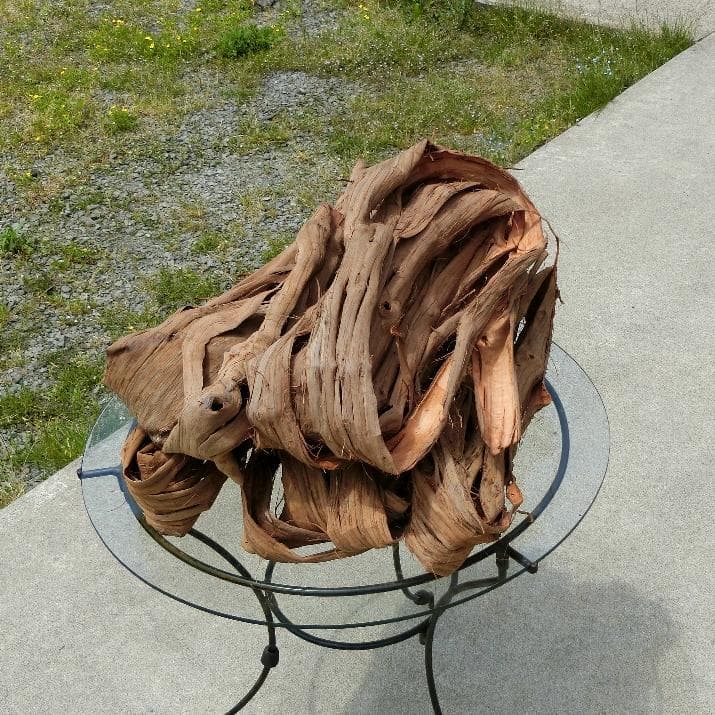 青森岩木山産 山葡萄 皮 樹皮 約2kg B品