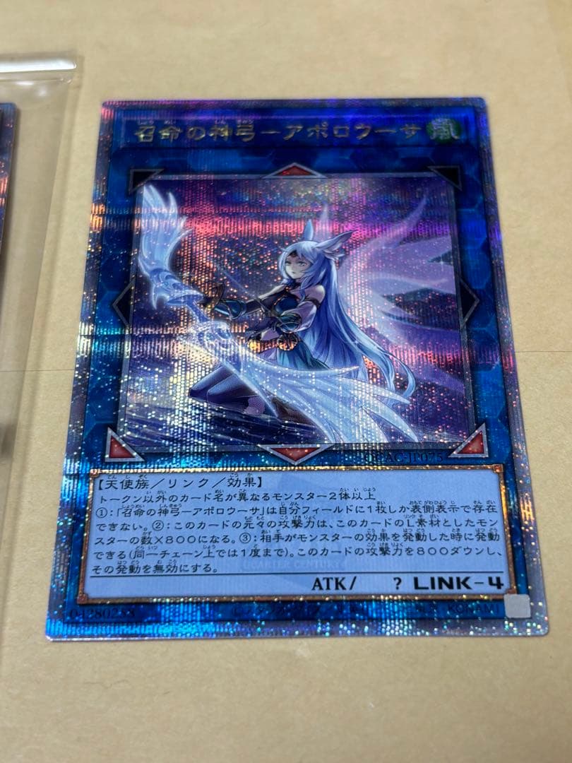 遊戯王　ホーリーナイトドラゴン　アポロウーサ絵違い　バーストレディ25th
