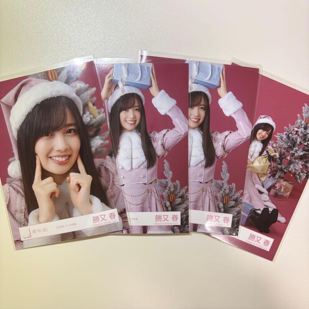 櫻坂46 勝又春 2025 サンタ衣装 生写真 - メルカリ