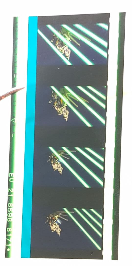 ガンダムseed freedom フィルム　3フィルム連続　ライジングフリーダム