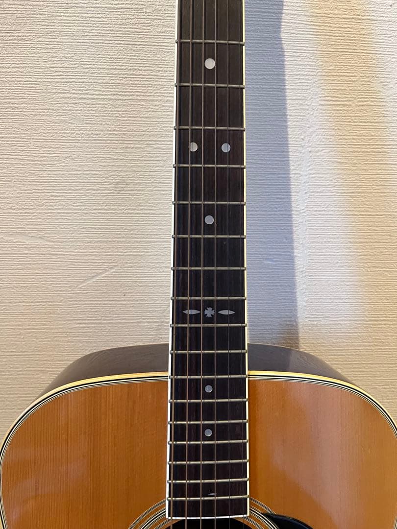 Cat's Eyes CE-200 アコースティックギター ケース付き