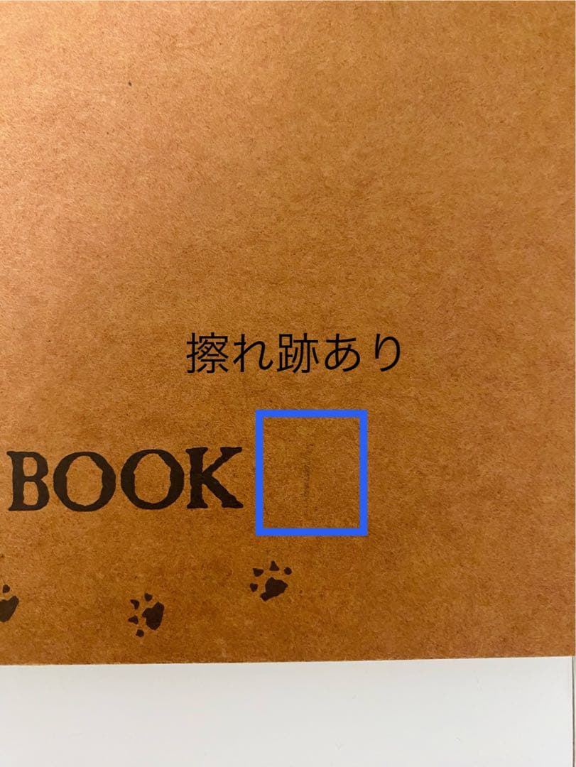 クリッターカントリー スプラッシュマウンテンのスケッチブック【未