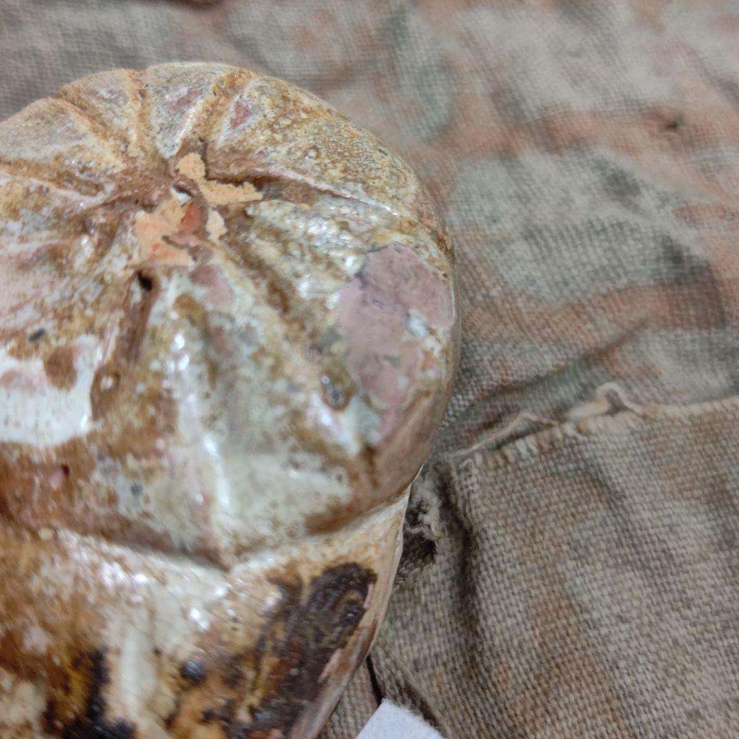 菊 香合 時代物 茶道具