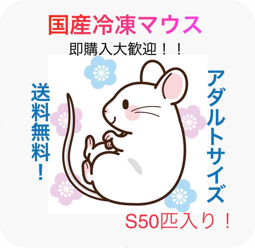 即購入OK！】国産冷凍マウスアダルトS50匹入@地域限定