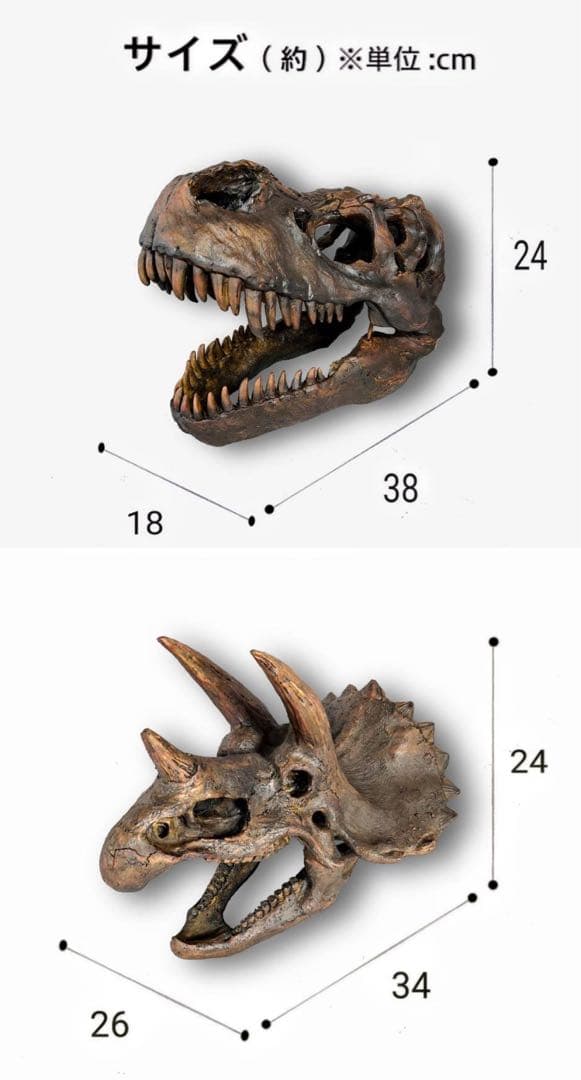 お得な2個セット！ ティラノサウルス 化石 インテリア 雑貨 オブジェ