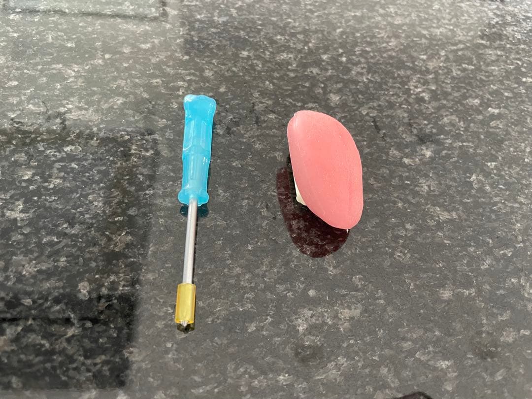 NISSIN 顎模型 ニッシン