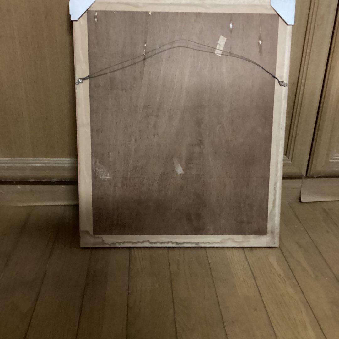 シペリウジウム カルルム 【蘭科アツモリ草属】シンガポールラッフル