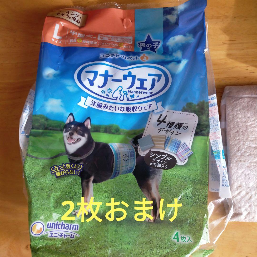 うんコロキャッチМ2枚 新品 おまけ付き