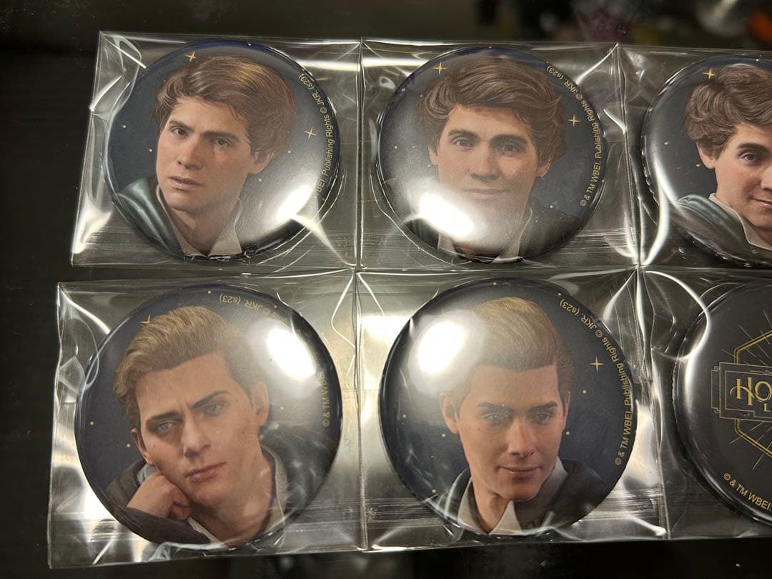 Hogwarts Legacy 缶バッジ 8個セット