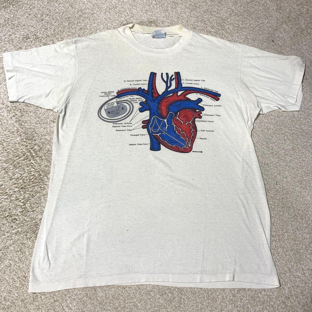 希少80's Hanes アナトミカル 臓器 腎臓 vintage tシャツ