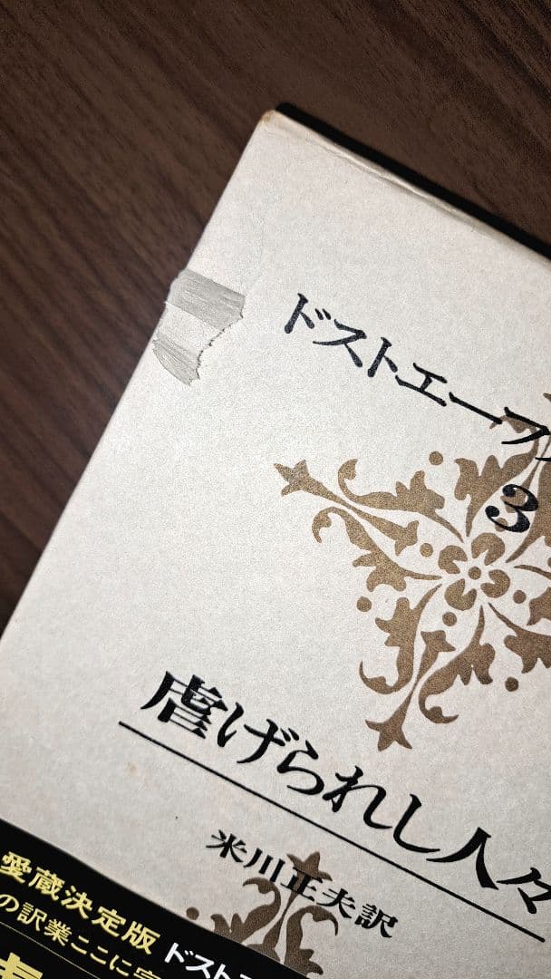 ドストエフースキイ全集全20巻別巻1