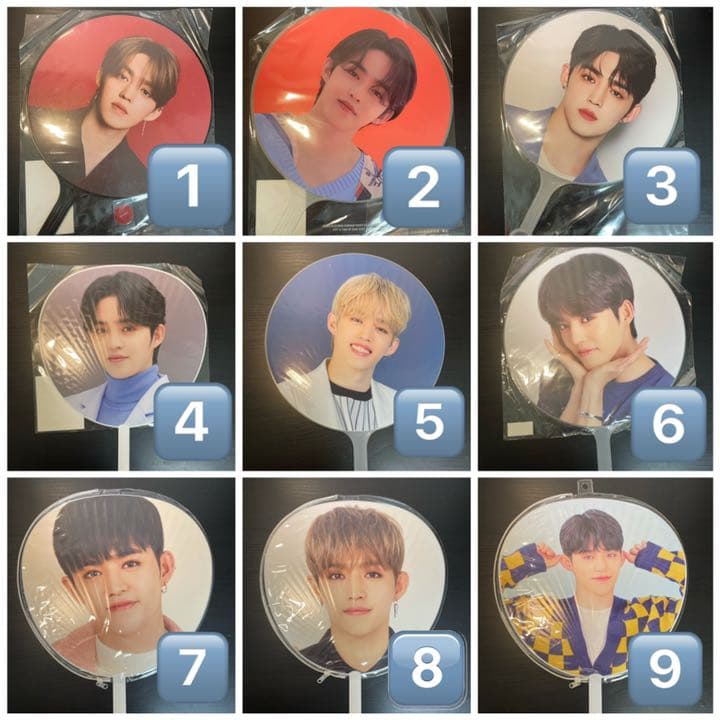 seventeen エスクプスうちわ SEVENTEEN セブチ エスクプス スンチョル