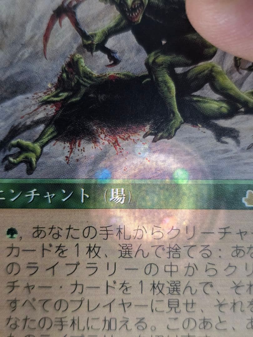 適者生存/Survival of the Fittest、EXO、日本語、1枚