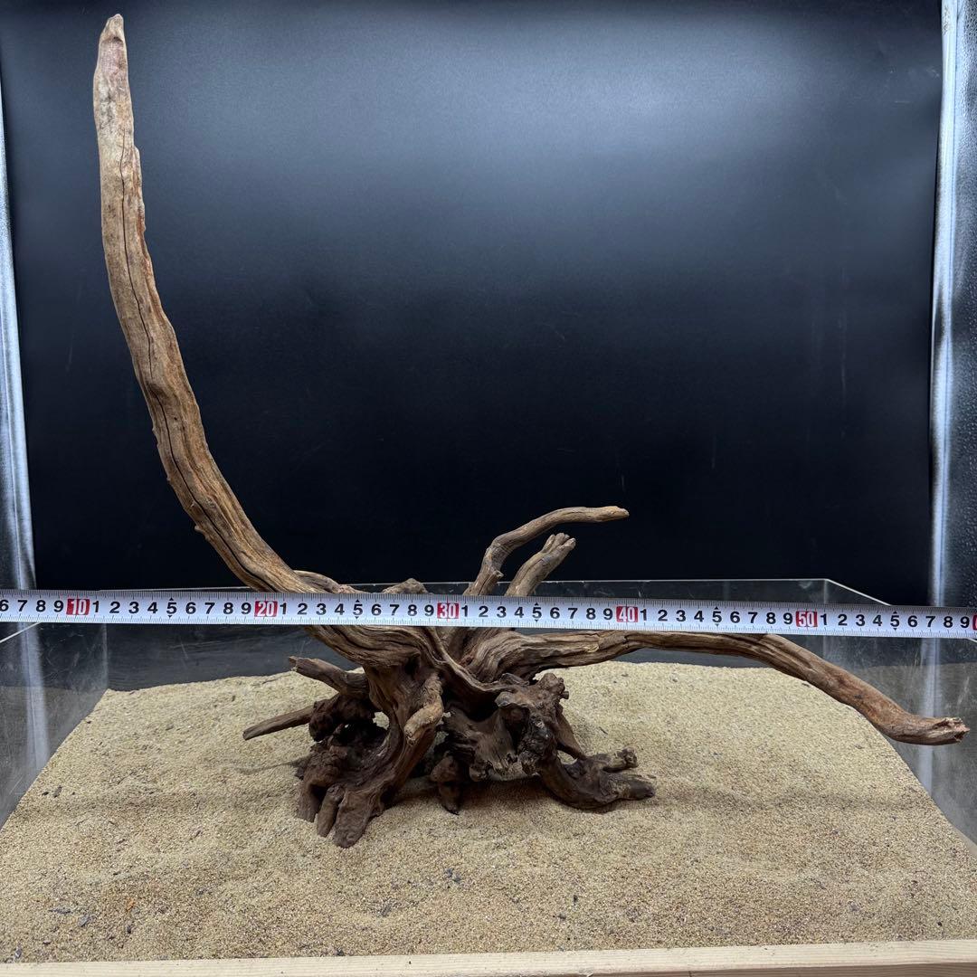 MSRW-6048スリムウッドレイアウトセット 60cm水槽用流木 MSRW-7171