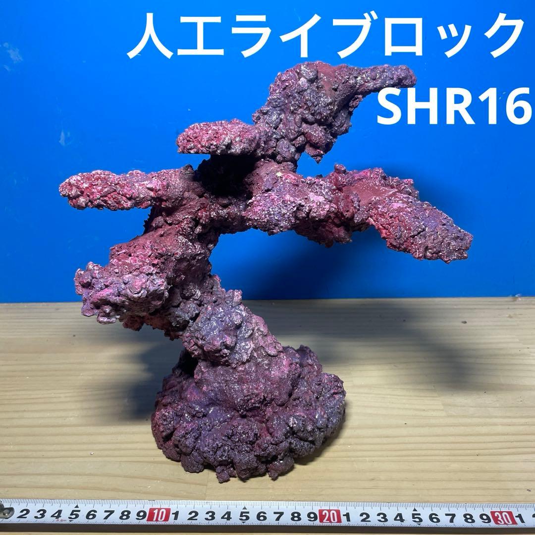 人工ライブロック 人工ライブロック No.39. 無害化処理済 人工ライブ