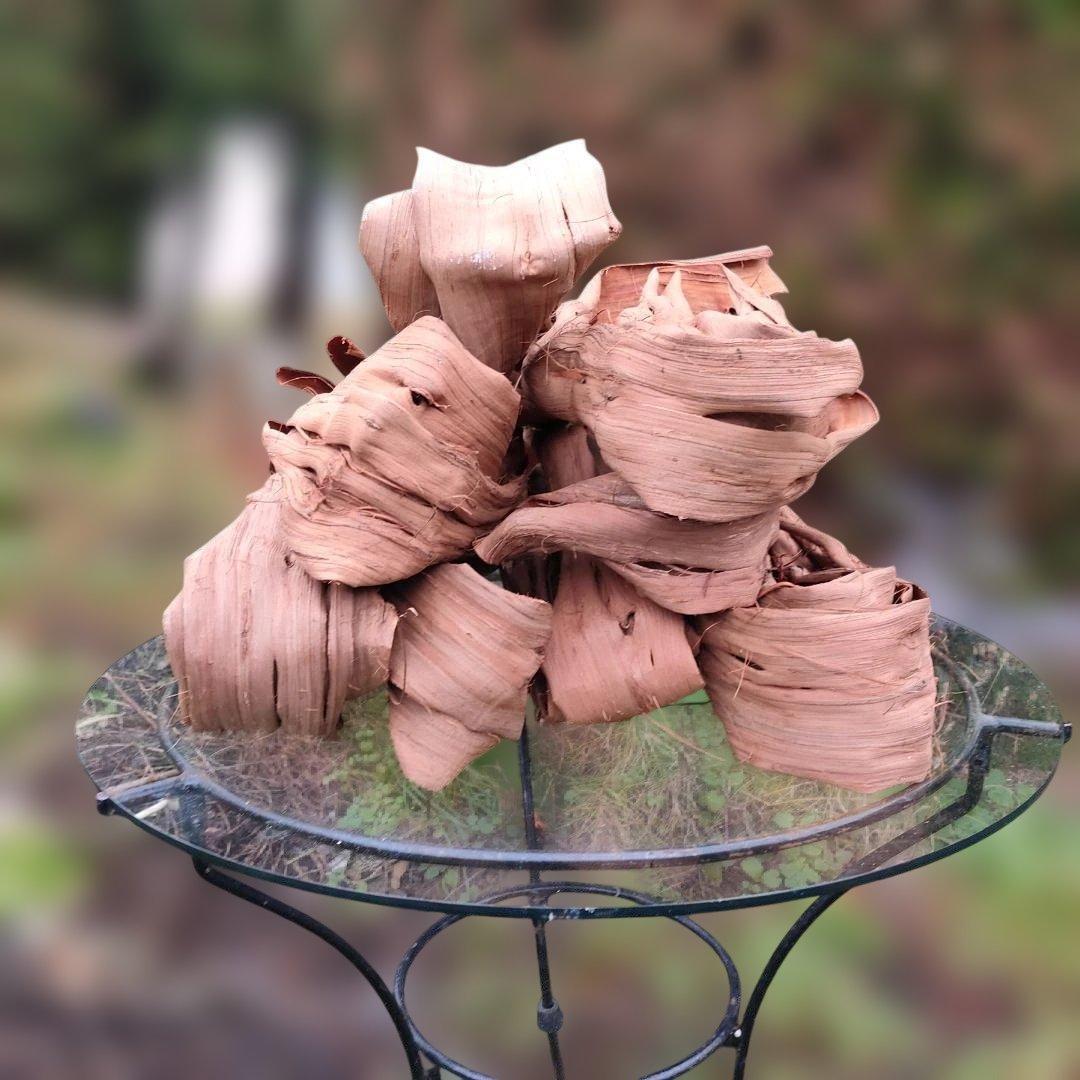 さーちゃん 青森岩木山産 山葡萄 皮 樹皮 約2kg