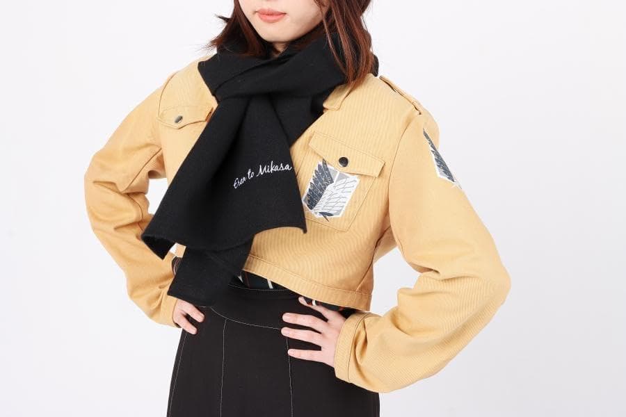 新品未開封　「進撃の巨人 画集 FLY」