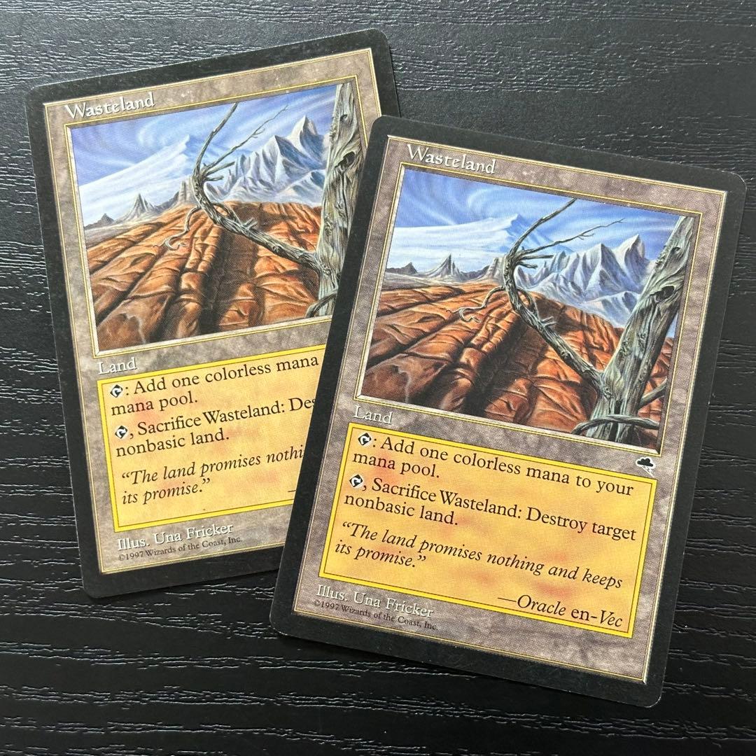 MTG 不毛の大地 英語 初版 2枚 - メルカリ