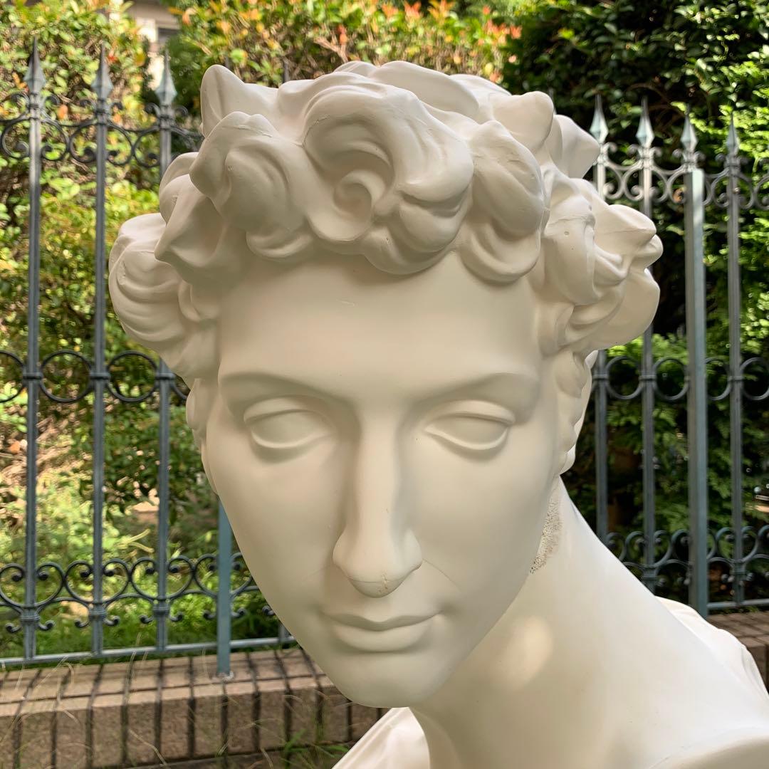 K-164 ジュリアーノ・メジチ胸像 - 日本で唯一の石膏像専門ショップ