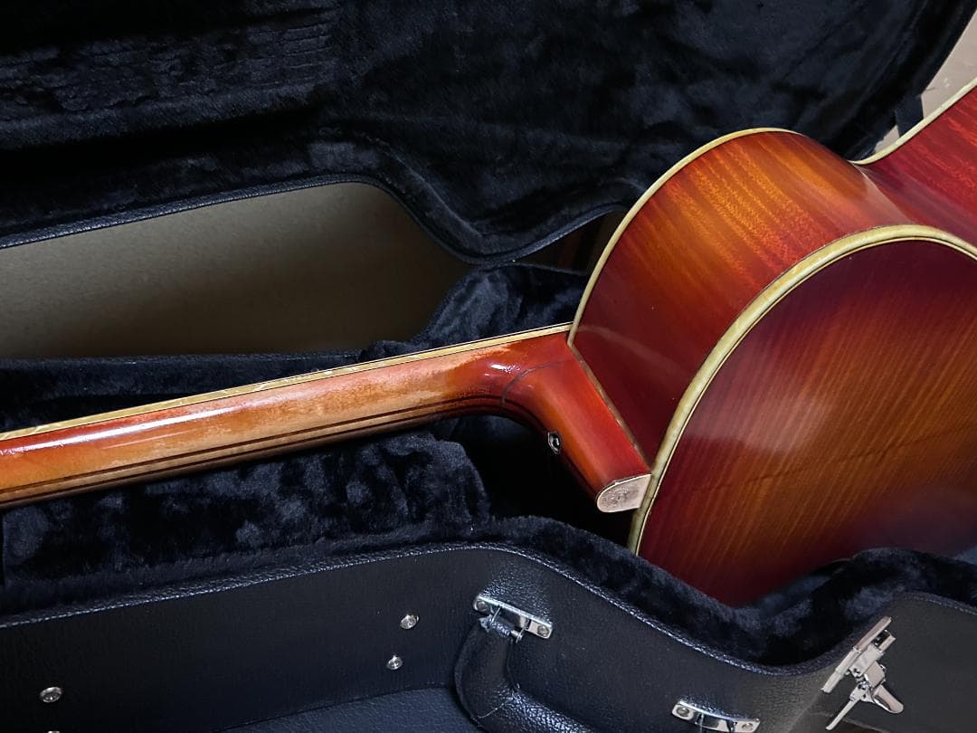 激レア 希少 カールヘフナー 496アコギ ヴィンテージ