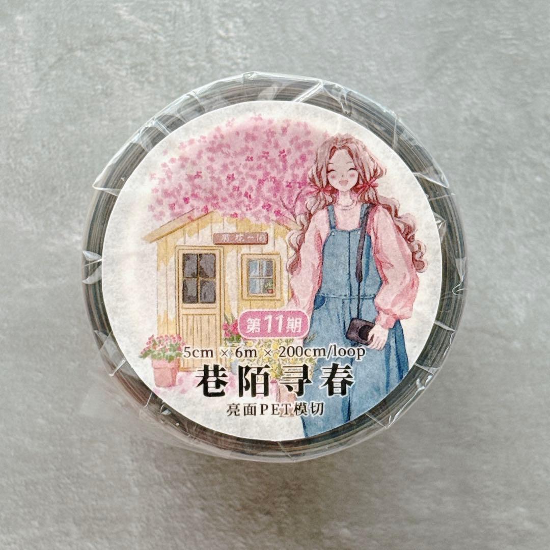 ⭐️SALE⭐️ 繁星梦屿《巷陌寻春》海外マスキングテープ　マステ 【2455】