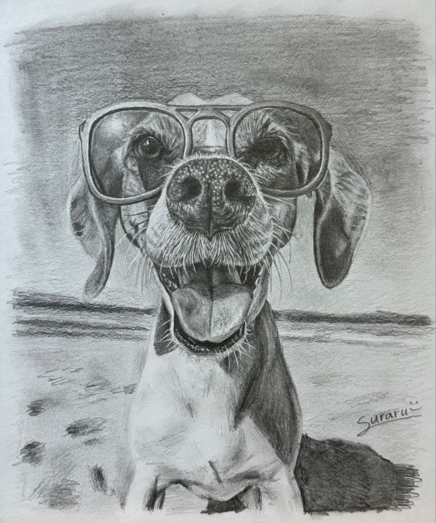 ビーグル 鉛筆画(色紙) ビーグル 鉛筆画(色紙)