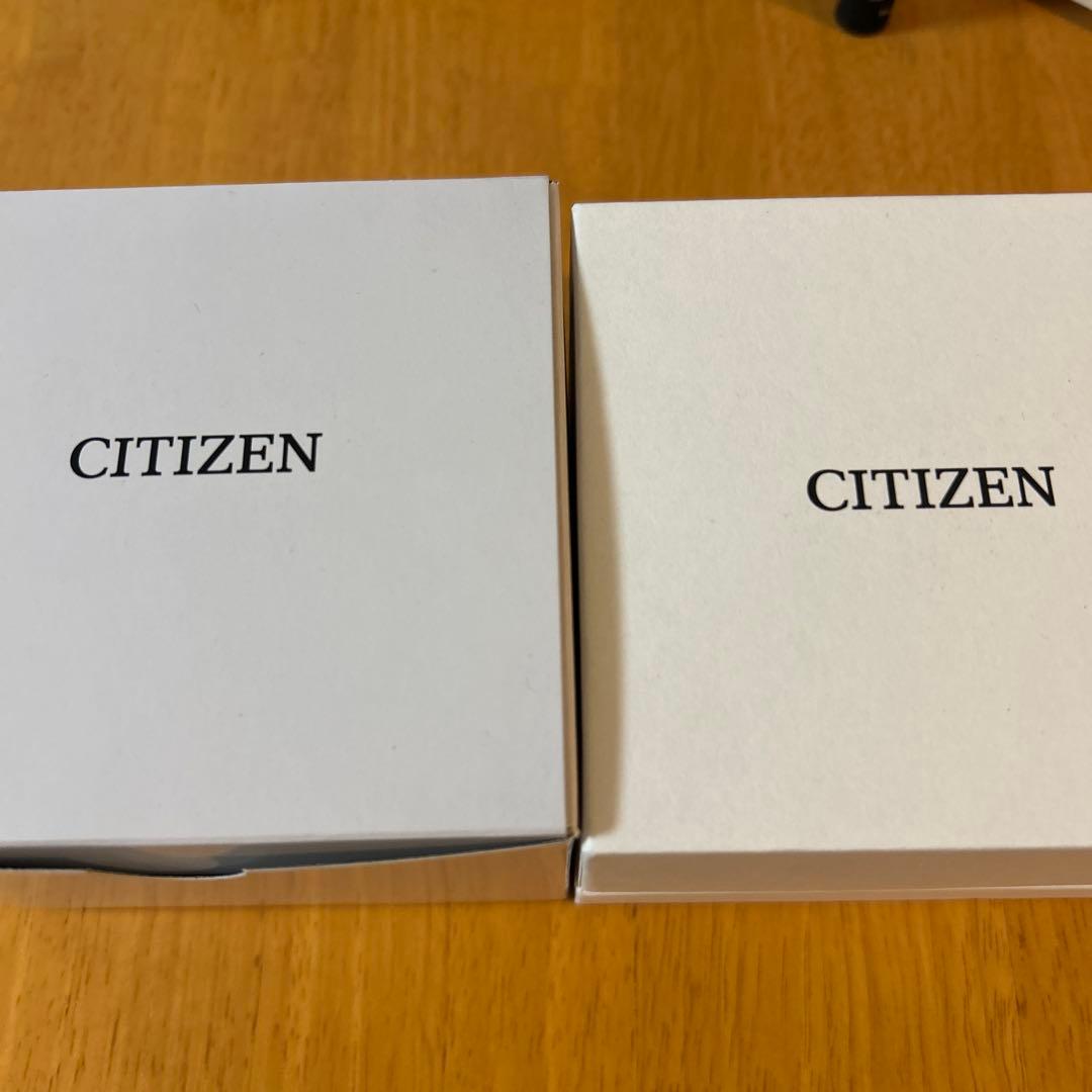 CITIZEN シチズン プロマスターフジツボ NB6021-17E