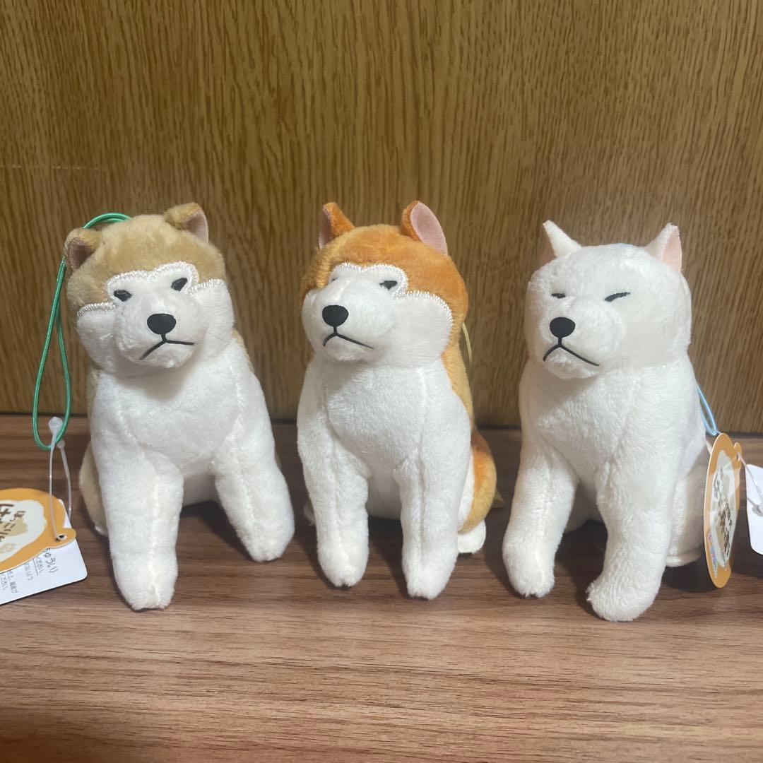 ほっこり秋田犬 はち兵衛 VMC 3点セット ぬいぐるみマスコット - メルカリ