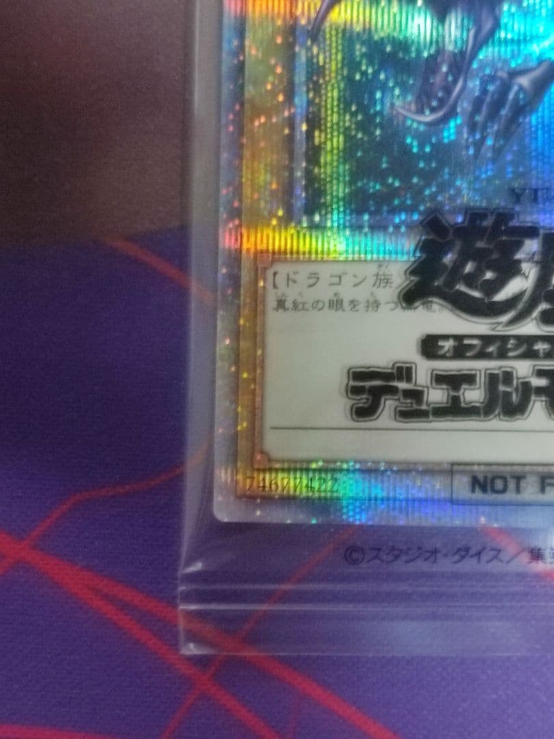 【当選書ダンボール付き】真紅眼の黒竜 プリズマシークレットレア プリシク