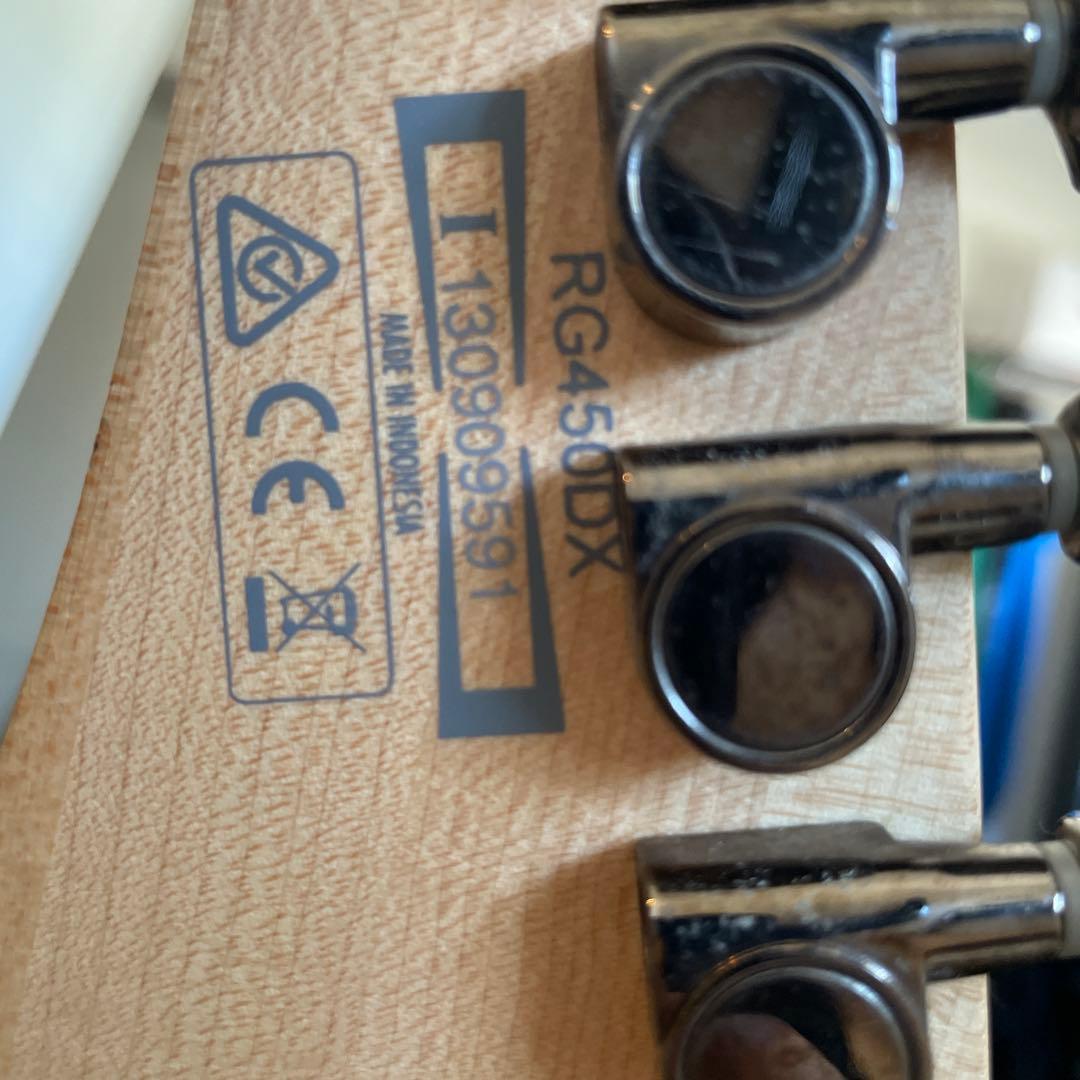 m*3様 Ibanez エレキギター 【ケース付き】　RG450DX