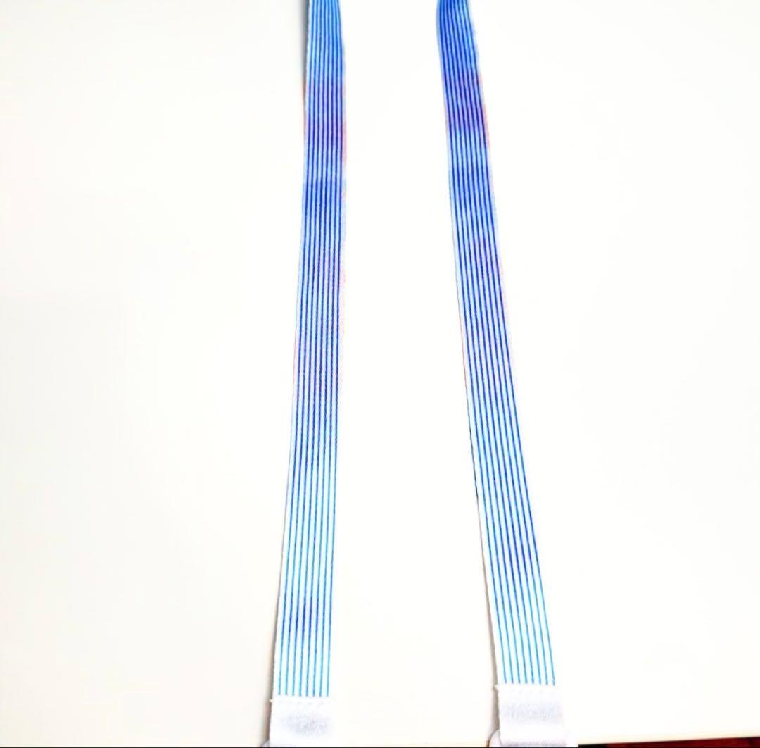 【超希少】万博 2025 スタッフ限定 ストラップ　【非売品】ピンバッチ7個付き