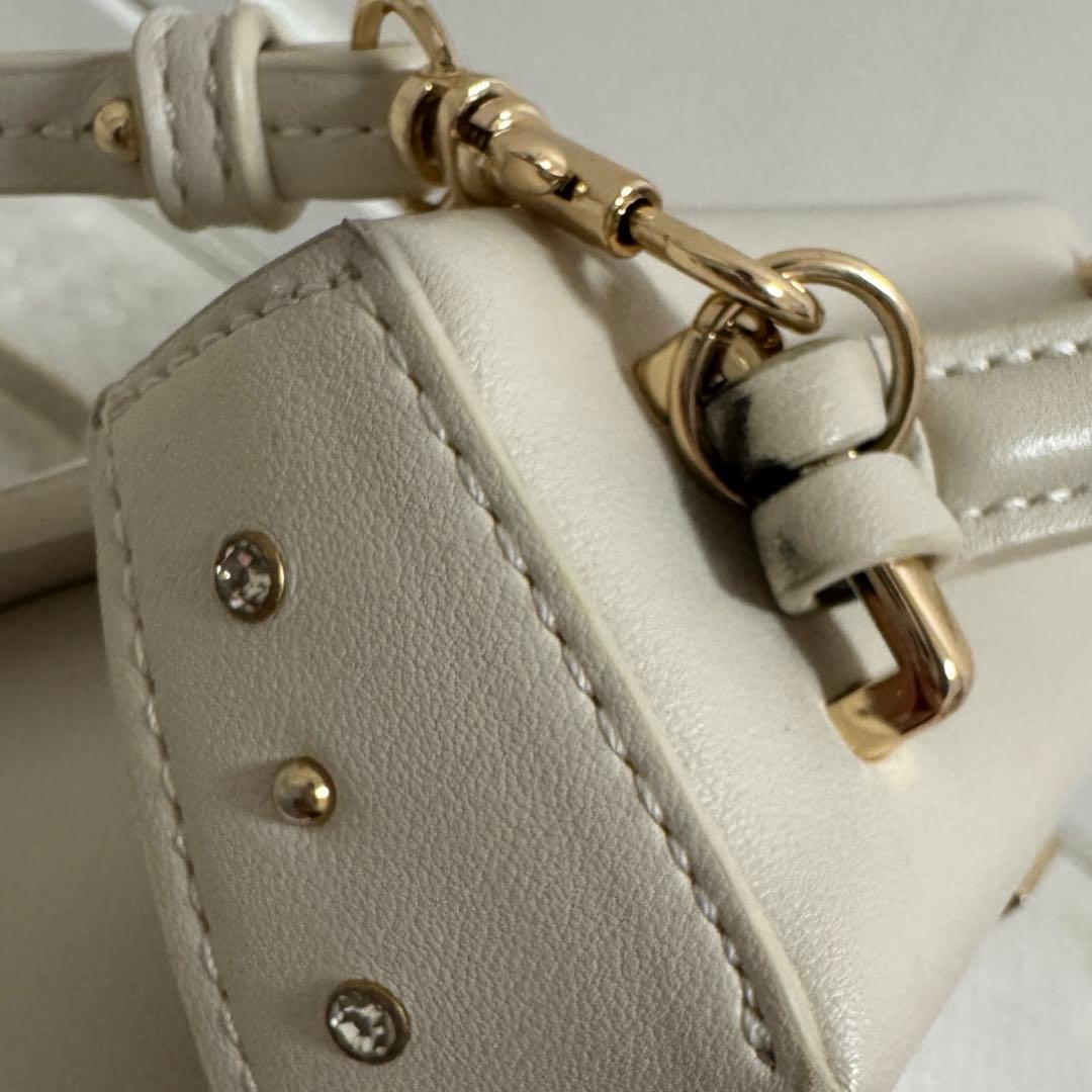 CELFORD セルフォード　リュタン　ビジュースタッズポシェット